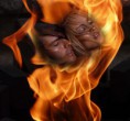/album/photogallery1/strast-v-ognja-jpg/